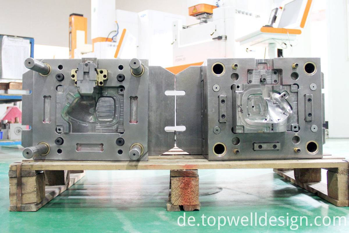 Schimmel Mold
